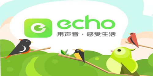 董力婚后瞒着阿诺和初恋单独吃饭